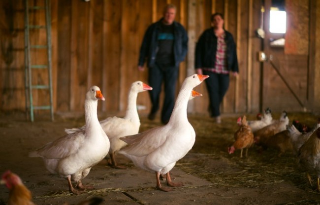 Theirs is still a small farm, but the Wilhelms  are succeeding in a business where others never get further than dreaming. The difference, says Cindy, is that they know it’s up to them to connect with their customers.