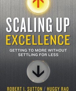 Scaling-Up-Excellence