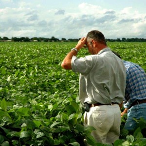two men standing in a field crop