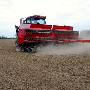 soybean seeding in a field