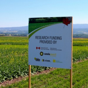 sign in a canola field