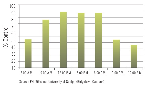 Figure 1. The control of velvetleaf with glyphosate as influenced by the time of day when glyphosate was applied.