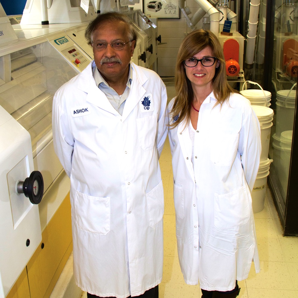 Cigi milling specialist Ashok Sarkar and director of grain quality Elaine Sopiwnyk led the project to incorporate barley into wheat flour.