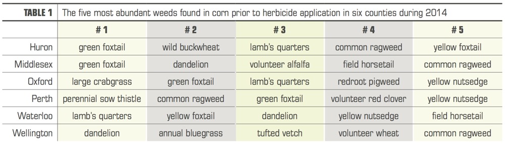The five most abundant weeds found in corn prior to herbicide application in six counties during 2014 (click image for larger view).