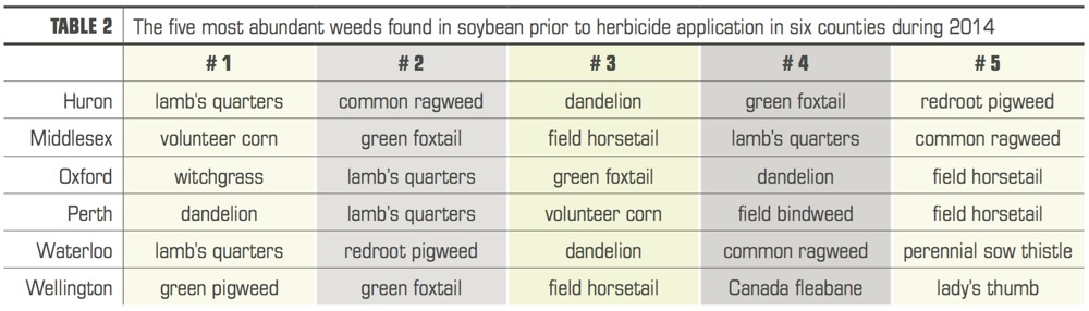 The five most abundant weeds found in soybean prior to herbicide application in six counties during 2014 (click image for larger view).