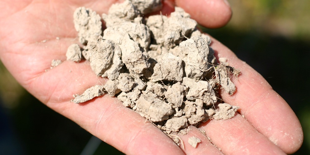 When it’s overworked, the clay becomes concrete, but when treated right, it grows dependable pasture.