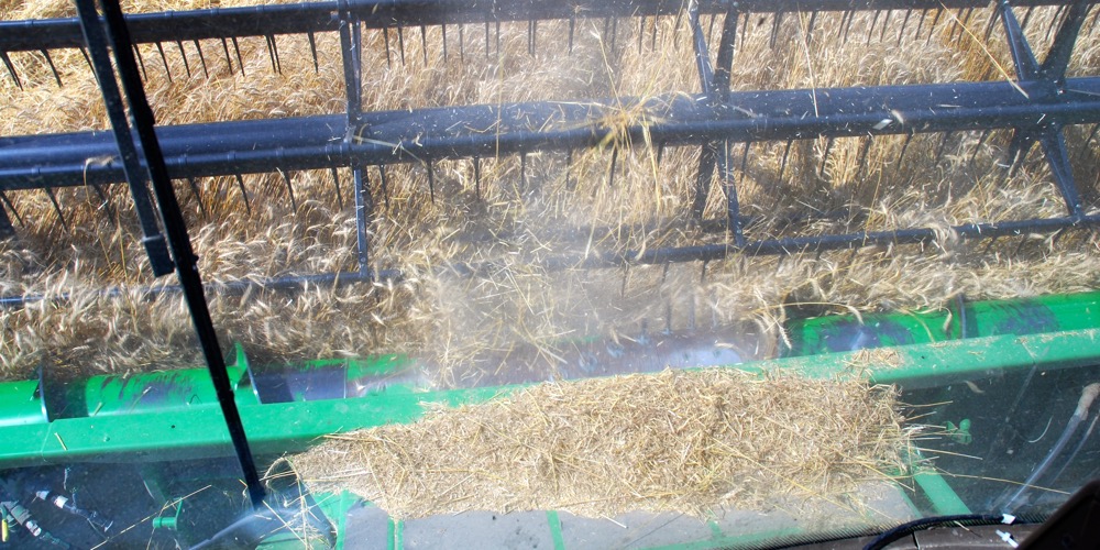 “The expectation the farmer has is higher than what the tool can actually deliver.” – Felix Weber, Ag Business & Crop.