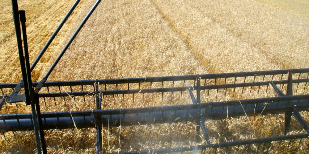 Fewer than half of farmers use data from a yield monitor to actually manage their fields.