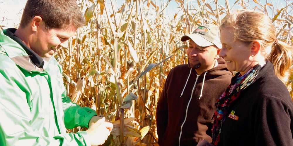 At 2016 prices, corn would generate a gross around $500 per acre.