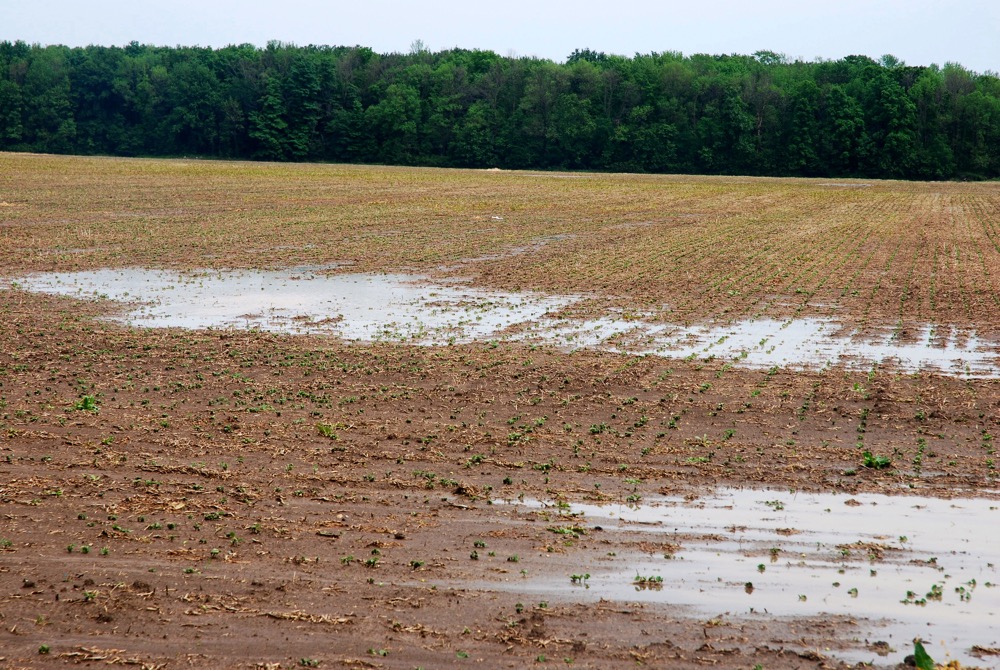 Providing detailed information is becoming more important as consumers turn their attention to how crops are grown, including environmental issues such as runoff.