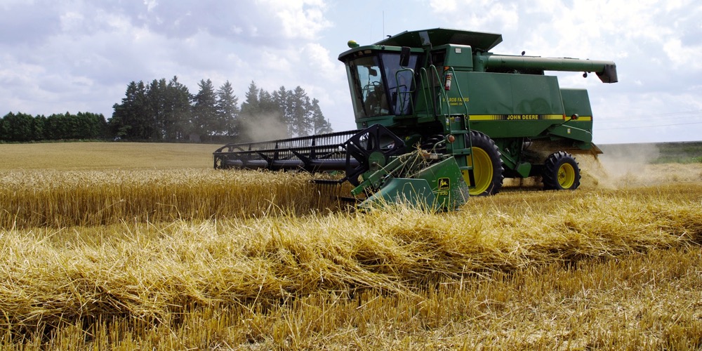 Driving higher wheat yields in the past decade has curtailed planting red clover and other species as cover crops.