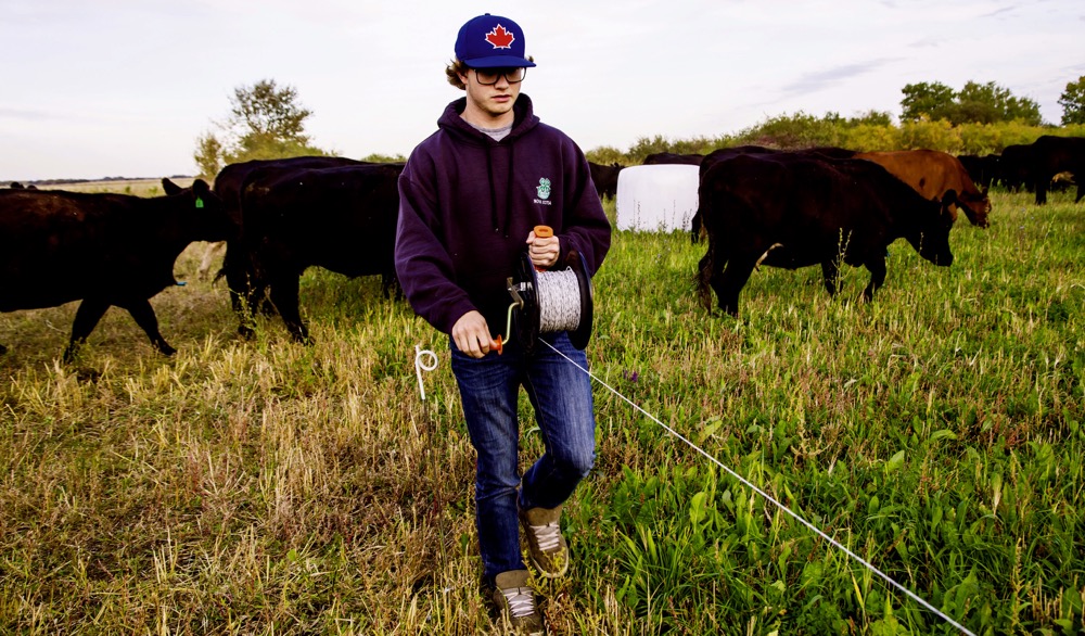 Limiting grazing is recommended until you get a good feel for forage quality.