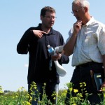 Two men standing in a canola field.