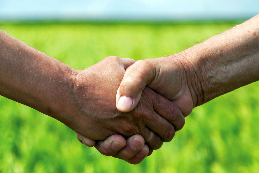 A handshake