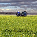 spray applicator in a canola field