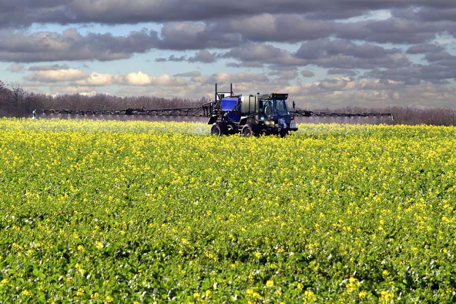 spray applicator in a canola field