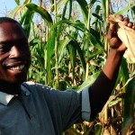Jessy Mpupulwa, above, symbolizes the whole country, growing bigger crops that he still must harvest by hand.