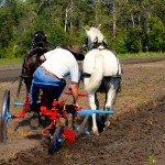 Humanity has tried every technology and philosophy, but will we ever get good at making new soil?