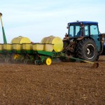 corn seeding in a field