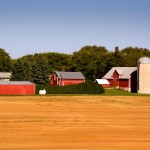 farmer's field and red barns