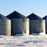 You need to take decisive action when heated canola is first detected to prevent severe losses.