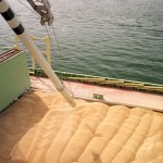 grain being loaded onto a ship