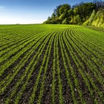 Precision ag lets you grow crops the way
Wayne Gretzky played hockey, Duncan says.
Instead of chasing the puck, you put yourself
where you can intercept it.