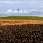 farmland