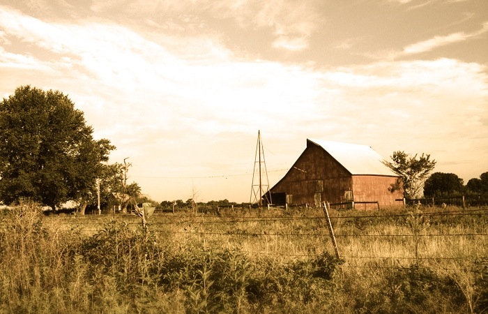 farmyard