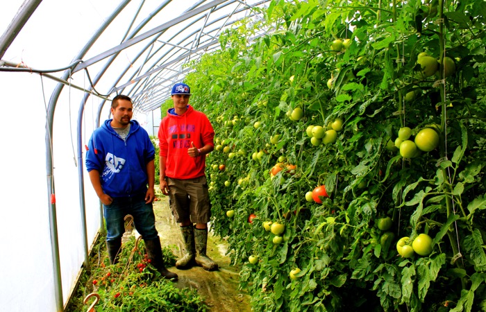 vegetable farmers at Cumberland House