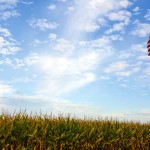 Half of all American farm sales are generated by a mere 1.6 per cent of the country’s farms