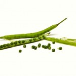 Oilseed Rape Pods