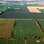 With near-term forecasts on North American farmland ranging from steady to down 25 per cent, most experts are saying now is the time for a long-range view.