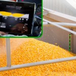 corn in a hopper truck