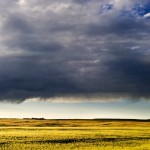 stormy weather