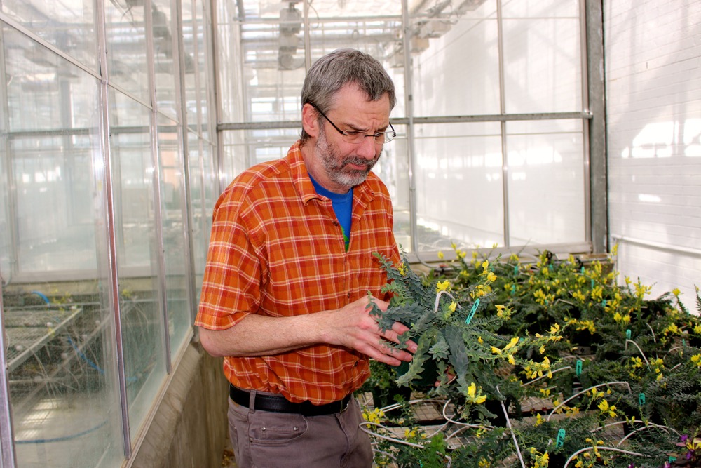 man in greenhouse with plant