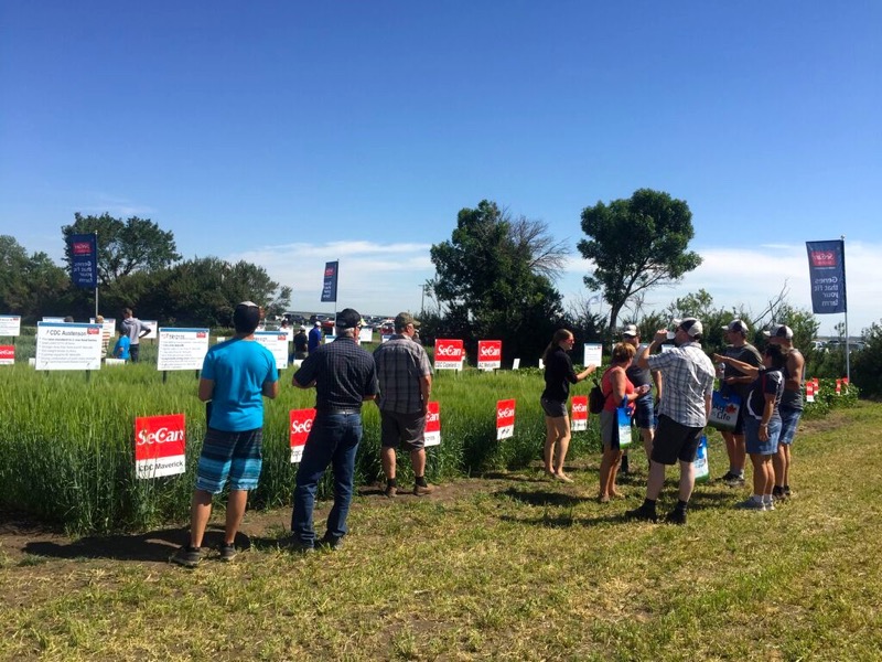 Ag in Motion is Western Canada’s first outdoor farm show which incorporates plots to demonstrate seed varieties, crop protection products and equipment.