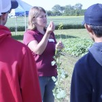 VIDEO: When to spray canola with a sclerotinia fungicide