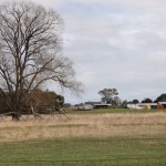 A late winter day at the CSIRO Ginninderra research station. Youth Ag-Summit delegates learned about a range of topics, including sheep production, wheat phenomics, precision ag and integrated weed management during the day trip.