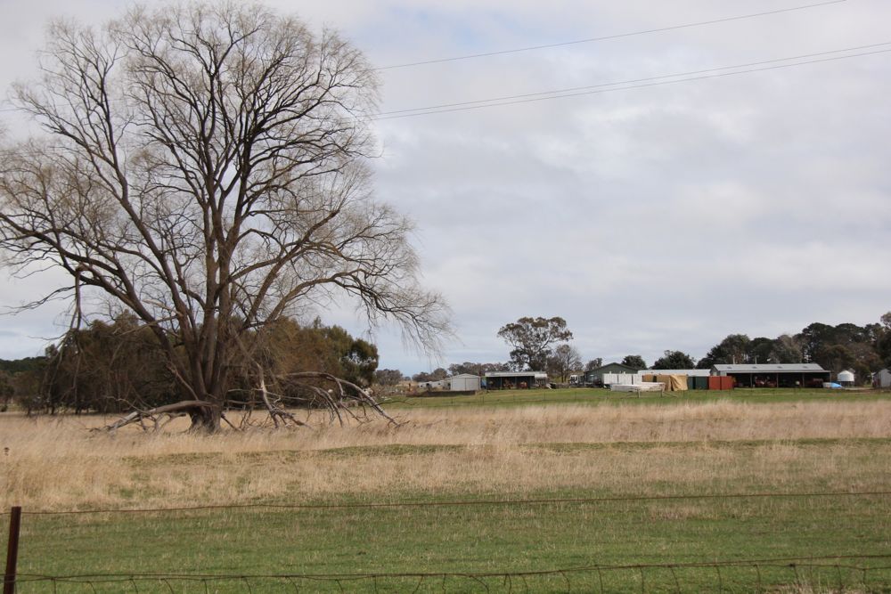 A late winter day at the CSIRO Ginninderra research station. Youth Ag-Summit delegates learned about a range of topics, including sheep production, wheat phenomics, precision ag and integrated weed management during the day trip.