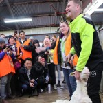 Ian Elkins demonstrates the craft of sheep shearing and invites visitors to give the shears a whirl. Elkins is a "gun shearer," slang for a professional shearer who removes fleece quickly without nicking the sheep.