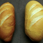 Hearth bread made from wheat differing in gluten strength. The loaf on the right indicates a stronger gluten protein composition than the loaf on the left.