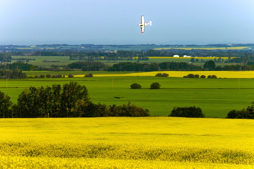 Crop duster over a canola field in Central Alberta, Canada