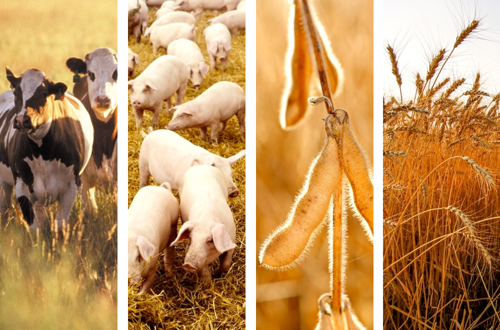 Leap into 2016 with these agricultural meetings and conferences