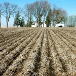 Preliminary research suggests strip tillage is an option for exposing enough soil to get it warm enough to plant corn in Western Canada.