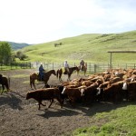 Finding the right farm mentor