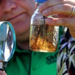 Keeping the soybean cyst nematode at bay