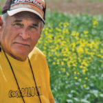 Craig Shaw used a corn planter for three years to more precisely place canola seed — and loved the “very, very uniform” emergence
it produced.