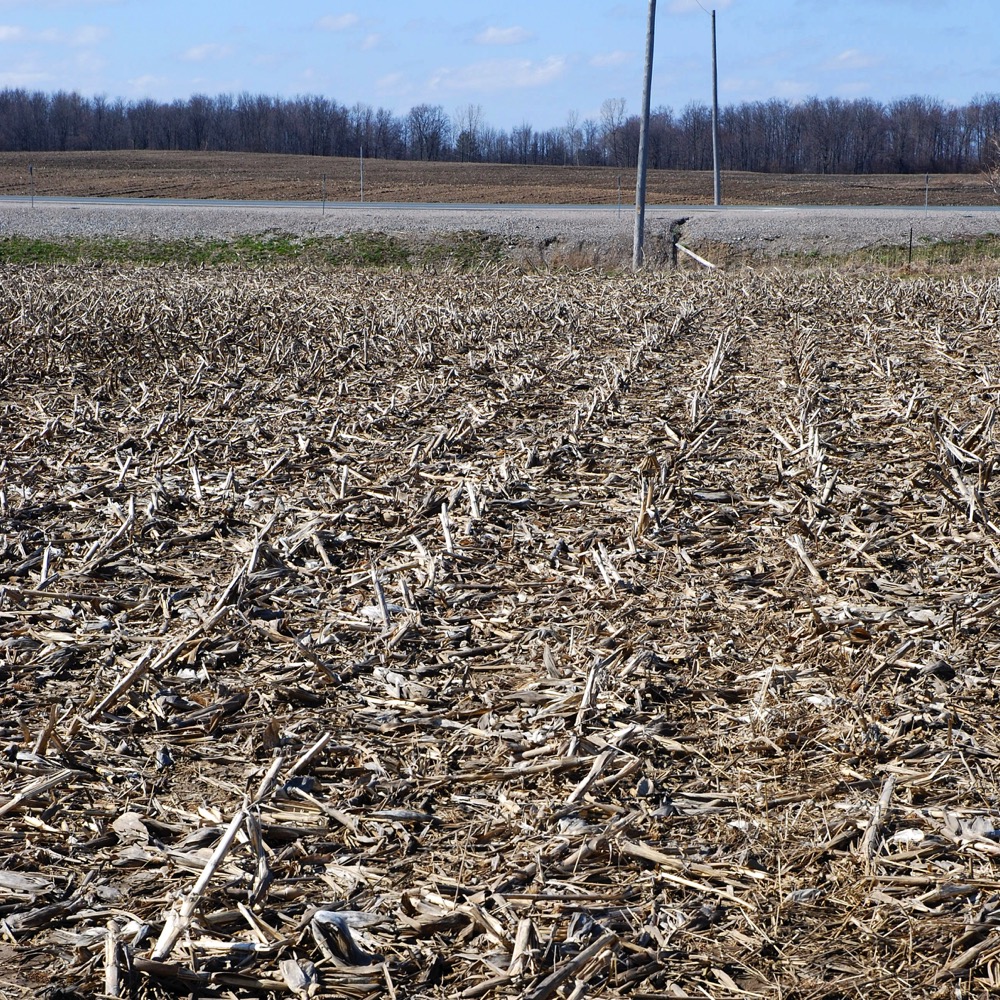 The SoilOne Report adds the means to determine biological activity in soil and to relate that to physical and chemical components.