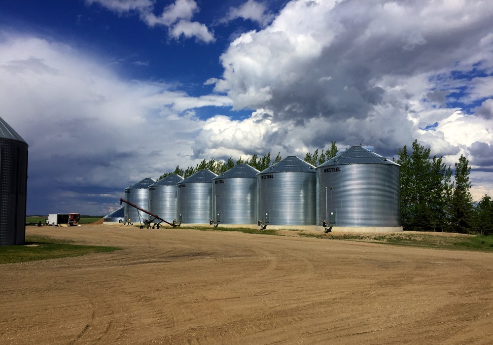 This photo was taken the day Ron Krahn was putting up a seventh 24,000-bushel bin. He stores canola in these bins but does not expect the 10-hp fan to do much drying if grain is tough.